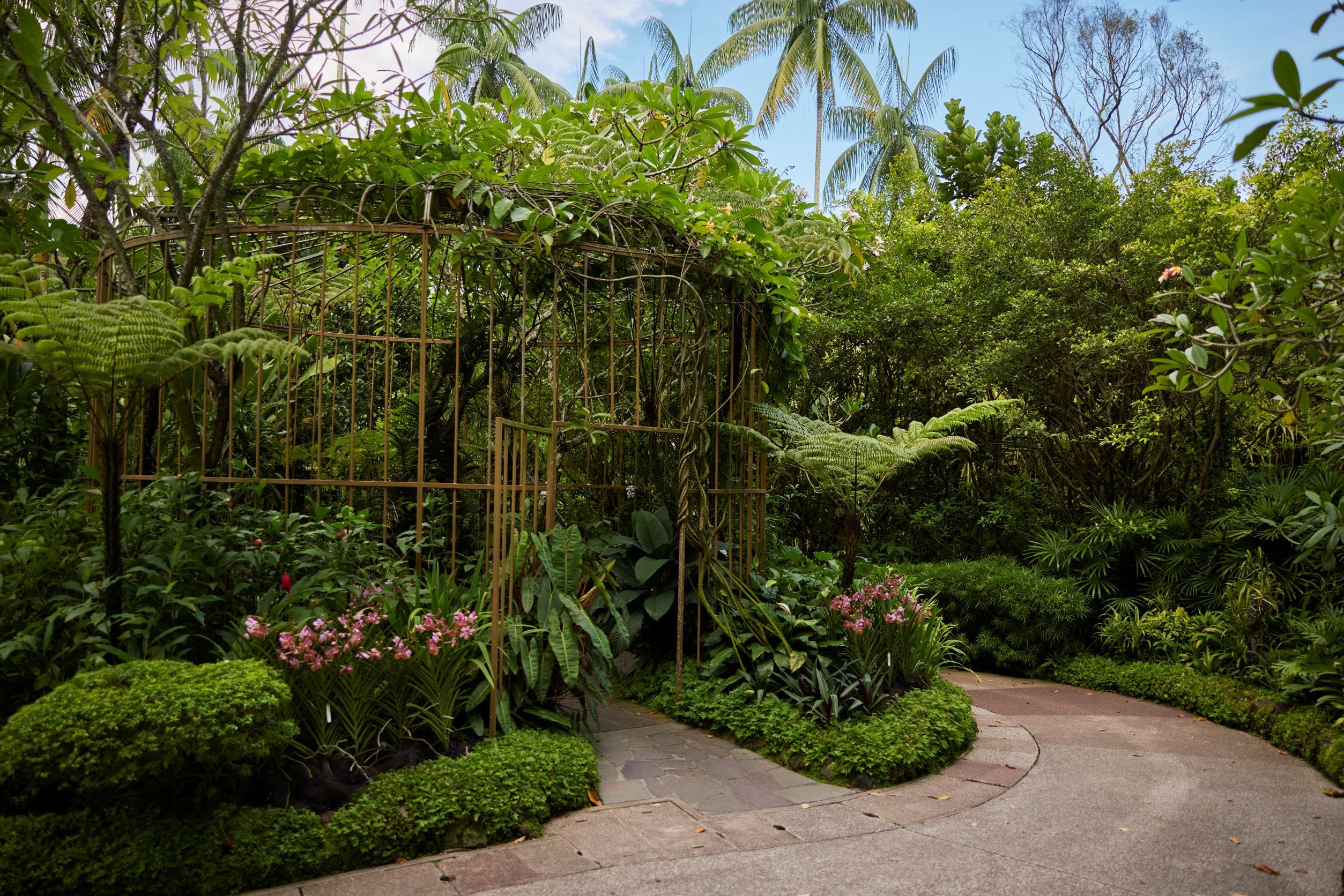 National Orchid Garden Display Section 2